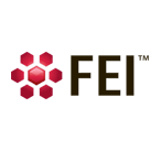 FEI Visualization Sciences Group FEI